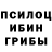 Псилоцибиновые грибы мухоморы firdavsi rasulzod