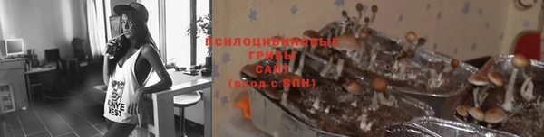 герыч Алзамай