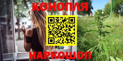 эйфоретик Кингисепп