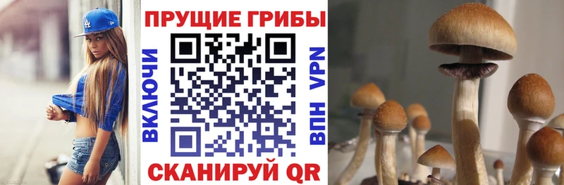 Галлюциногенные грибы GOLDEN TEACHER  Лобня 